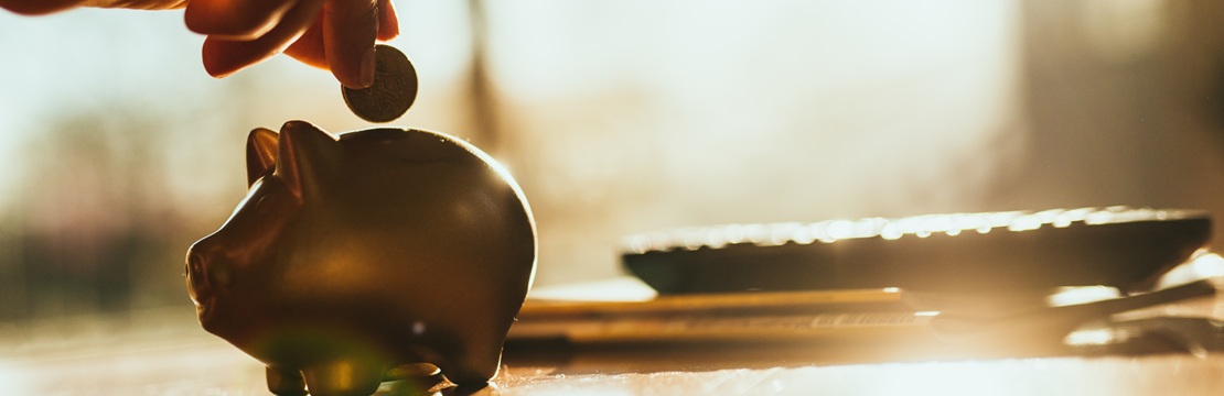 Hand placing a coin into a piggy bank in warm sunlight.